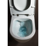 Унитаз приставной LAUFEN PRO RIMLESS напольный 530 x 360 x 430 мм 8.2295.6.000.000.1